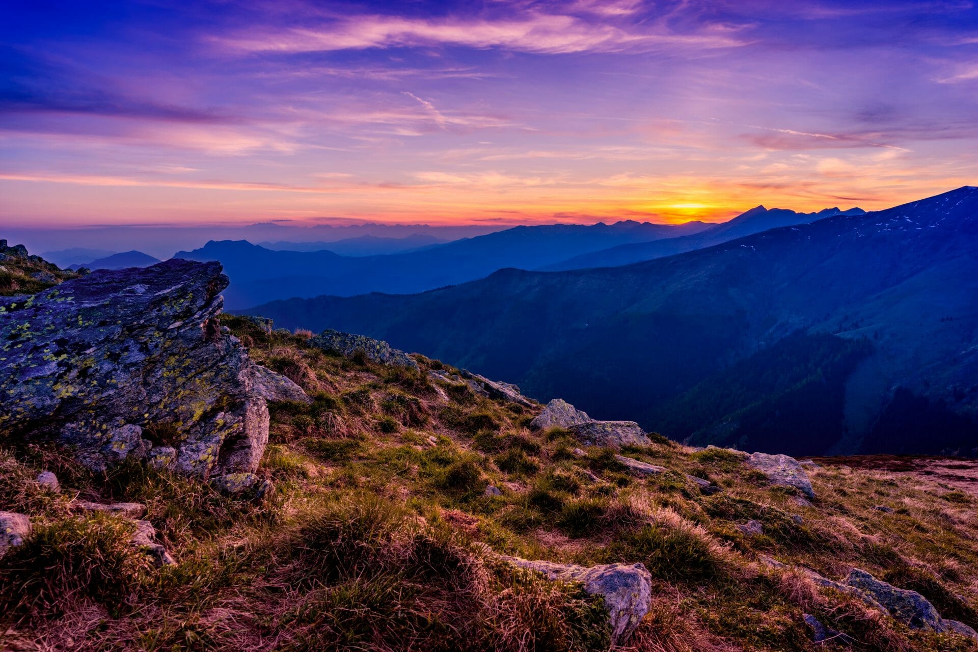 Marketing Insights to Increase Growth and Exposure