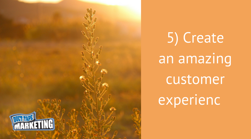 Why Customer Experience Is the Key to an Amazing Business