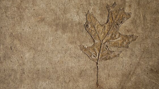 The Self-Reliant Entrepreneur Reading: September 25 The Self-Reliant Entrepreneur Reading: September 25