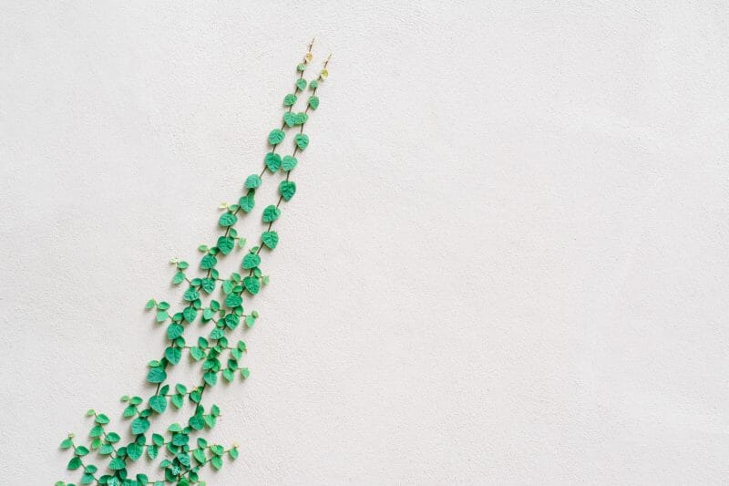 The Self-Reliant Entrepreneur Reading: October 24 The Self-Reliant Entrepreneur Reading: October 24