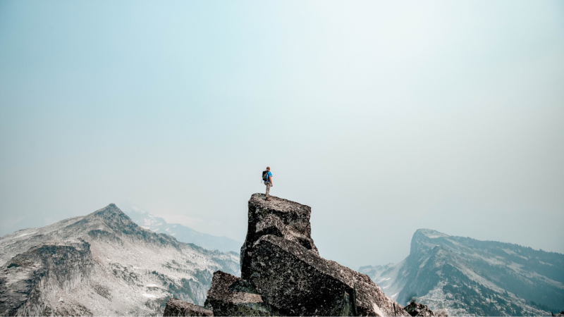 Finding Success and Whole-Life Wealth