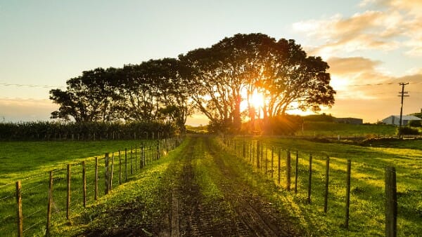 Use Reinvention in Your Business to Thrive