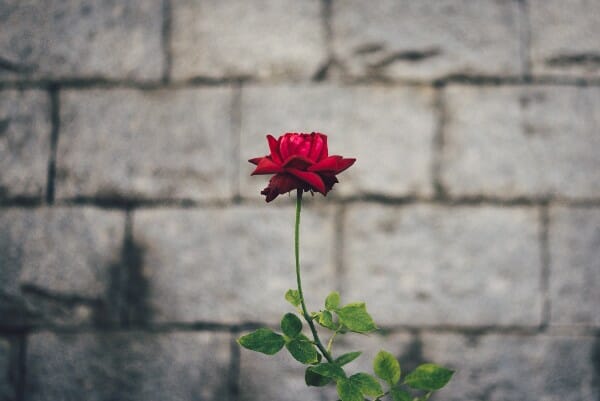 How to Build a Business as an Introvert