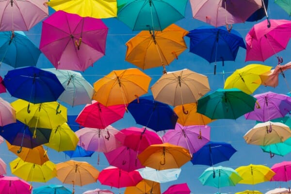 How to Update Your Website Policy When Laws Change
