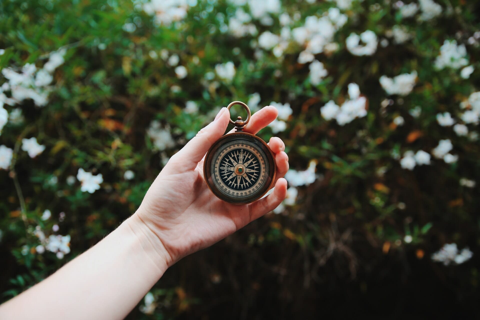 Why Keyword Research Should Guide Your Content Strategy