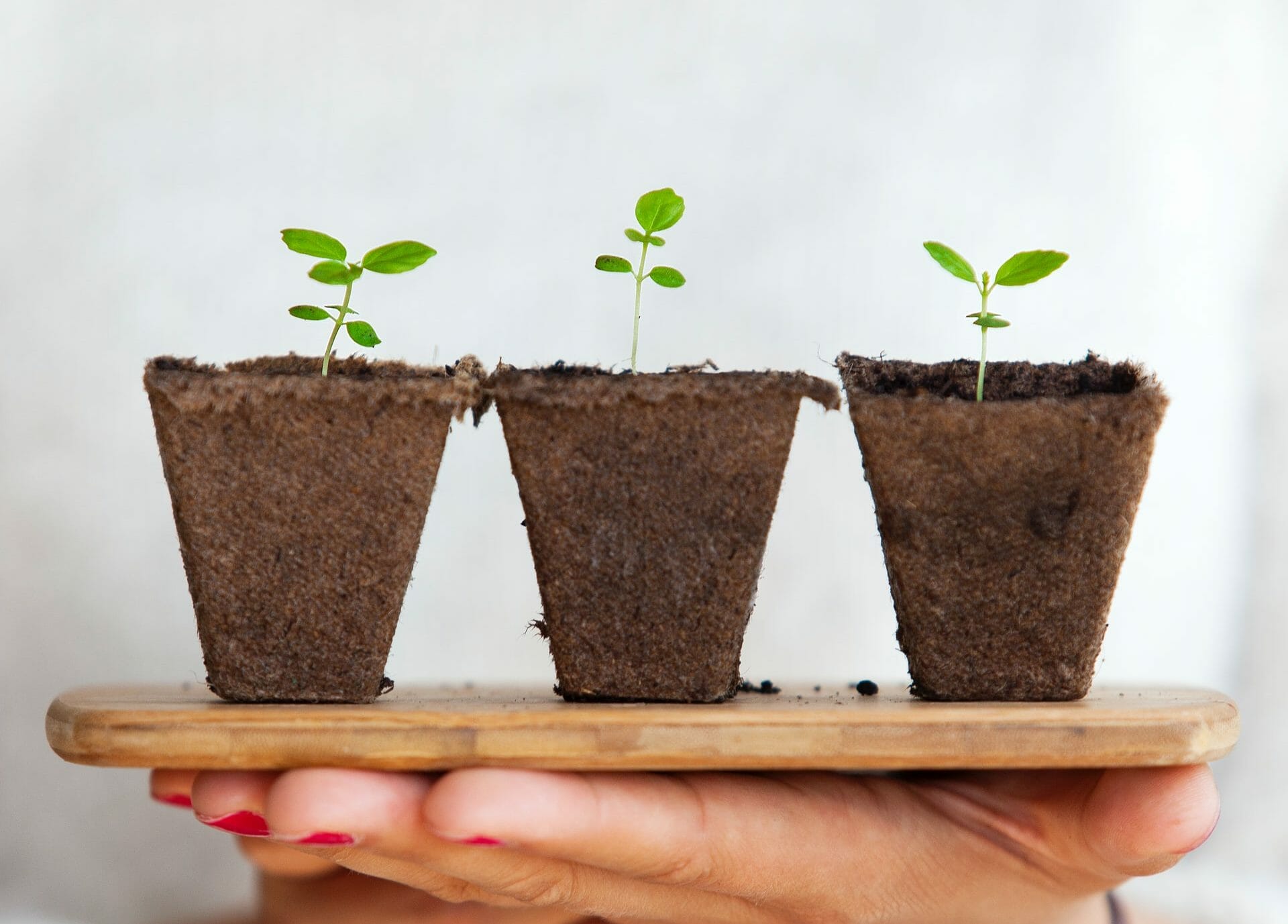 How To Create Predictable Recurring Revenue Streams Without Selling Your Hours